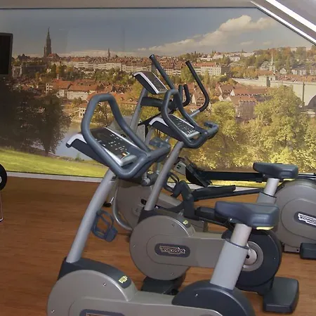 Baeren Am Bundesplatz