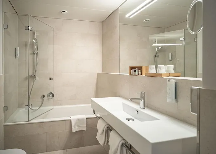 Baeren Am Bundesplatz