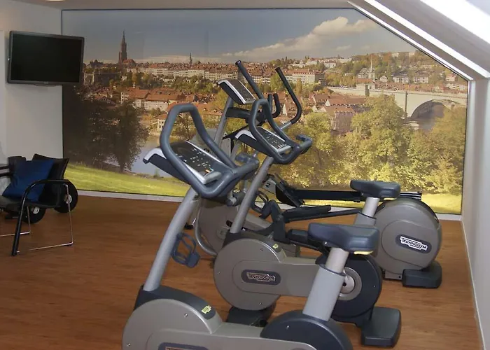 Baeren Am Bundesplatz