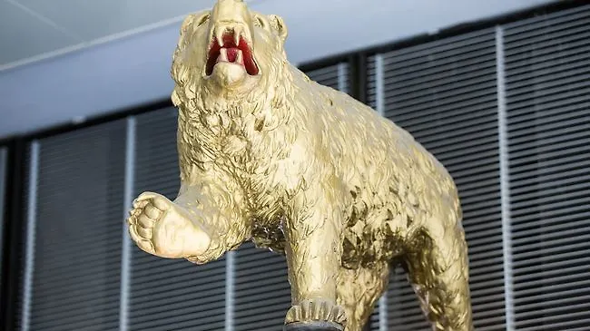 Baeren Am Bundesplatz